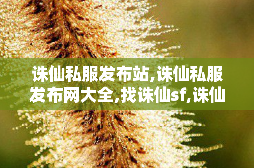 诛仙私服发布站,诛仙私服发布网大全,找诛仙sf,诛仙私服发布网大全