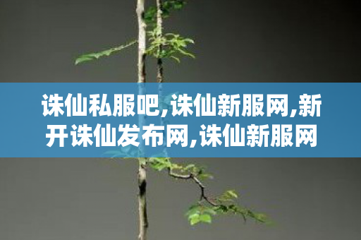 诛仙私服吧,诛仙新服网,新开诛仙发布网,诛仙新服网