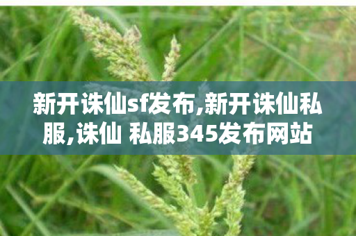 新开诛仙sf发布,新开诛仙私服,诛仙 私服345发布网站,新开诛仙私服