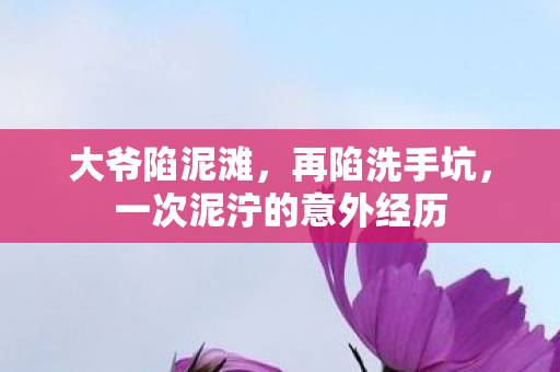 大爷陷泥滩，再陷洗手坑，一次泥泞的意外经历