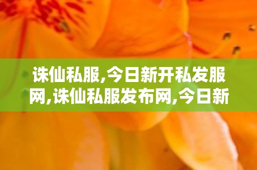 诛仙私服,今日新开私发服网,诛仙私服发布网,今日新开私发服网