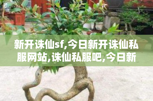 新开诛仙sf,今日新开诛仙私服网站,诛仙私服吧,今日新开诛仙私服网站