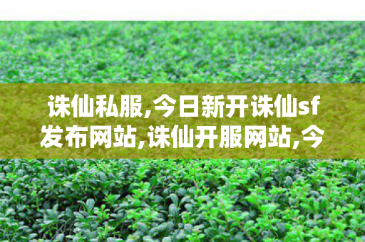 诛仙私服,今日新开诛仙sf发布网站,诛仙开服网站,今日新开诛仙sf发布网站