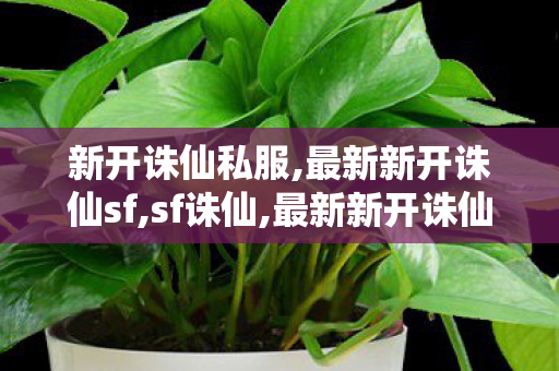 新开诛仙私服,最新新开诛仙sf,sf诛仙,最新新开诛仙sf