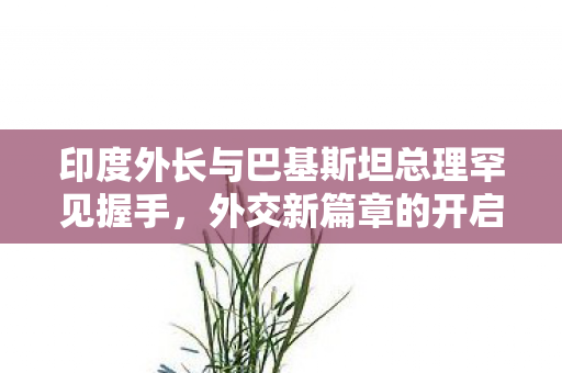 印度外长与巴基斯坦总理罕见握手，外交新篇章的开启