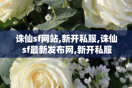 诛仙sf网站,新开私服,诛仙 sf最新发布网,新开私服