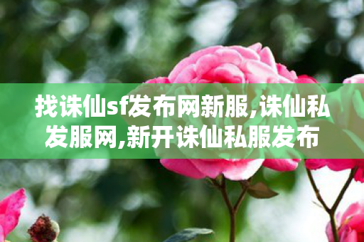 找诛仙sf发布网新服,诛仙私发服网,新开诛仙私服发布网站,诛仙私发服网