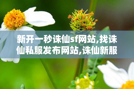 新开一秒诛仙sf网站,找诛仙私服发布网站,诛仙新服网发布网,找诛仙私服发布网站