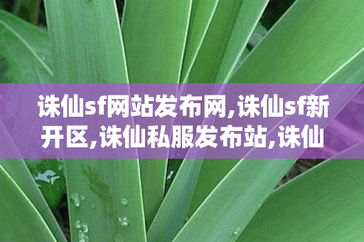 诛仙sf网站发布网,诛仙sf新开区,诛仙私服发布站,诛仙sf新开区