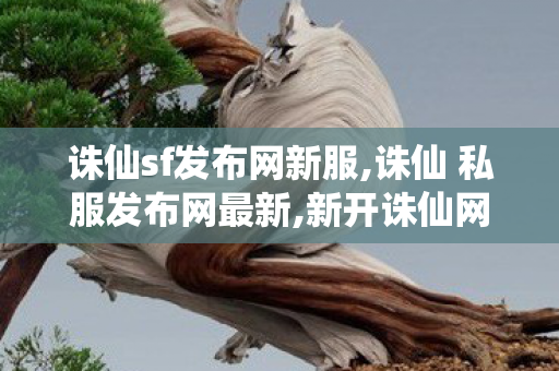 诛仙sf发布网新服,诛仙 私服发布网最新,新开诛仙网站,诛仙 私服发布网最新