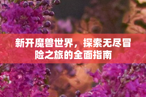 新开魔兽世界，探索无尽冒险之旅的全面指南