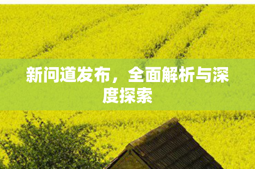 新问道发布，全面解析与深度探索