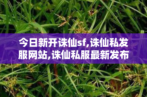 今日新开诛仙sf,诛仙私发服网站,诛仙私服最新发布网站,诛仙私发服网站