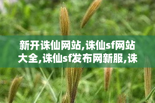 新开诛仙网站,诛仙sf网站大全,诛仙sf发布网新服,诛仙sf网站大全