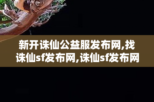 新开诛仙公益服发布网,找诛仙sf发布网,诛仙sf发布网站,找诛仙sf发布网