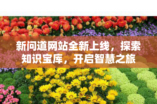 新问道网站全新上线，探索知识宝库，开启智慧之旅