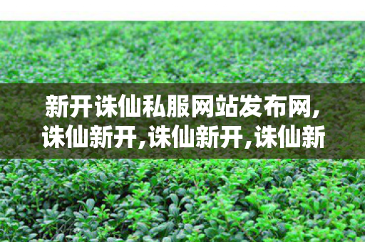 新开诛仙私服网站发布网,诛仙新开,诛仙新开,诛仙新开