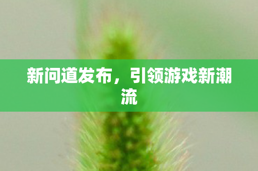 新问道发布，引领游戏新潮流