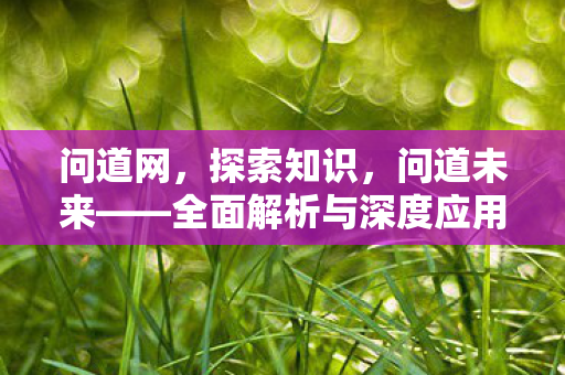 问道网，探索知识，问道未来——全面解析与深度应用