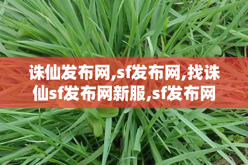诛仙发布网,sf发布网,找诛仙sf发布网新服,sf发布网