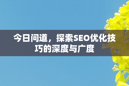 今日问道，探索SEO优化技巧的深度与广度