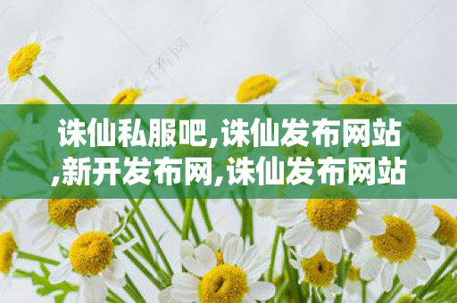 诛仙私服吧,诛仙发布网站,新开发布网,诛仙发布网站