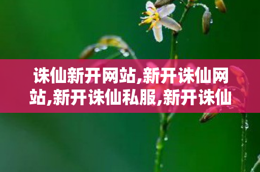 诛仙新开网站,新开诛仙网站,新开诛仙私服,新开诛仙网站