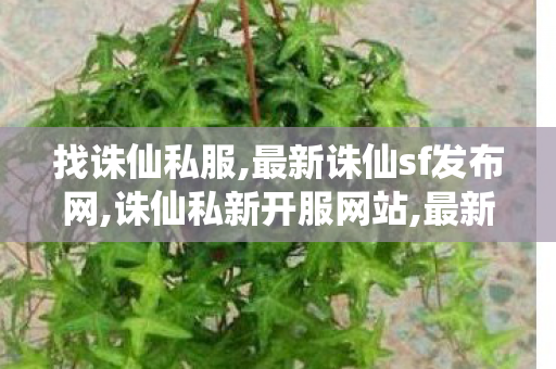 找诛仙私服,最新诛仙sf发布网,诛仙私新开服网站,最新诛仙sf发布网