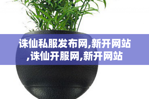 诛仙私服发布网,新开网站,诛仙开服网,新开网站
