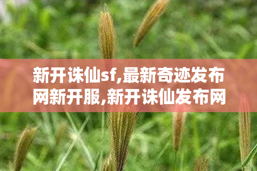 新开诛仙sf,最新奇迹发布网新开服,新开诛仙发布网站,最新奇迹发布网新开服
