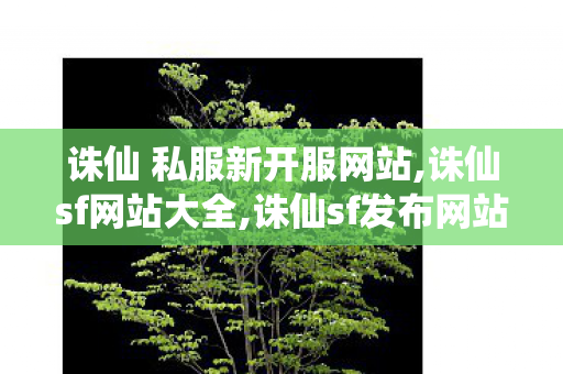诛仙 私服新开服网站,诛仙sf网站大全,诛仙sf发布网站,诛仙sf网站大全