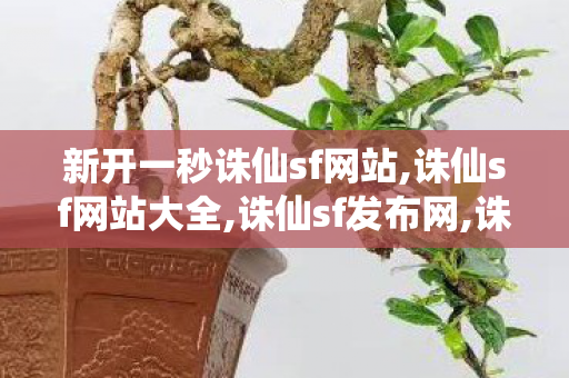 新开一秒诛仙sf网站,诛仙sf网站大全,诛仙sf发布网,诛仙sf网站大全