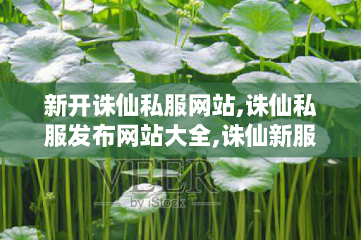 新开诛仙私服网站,诛仙私服发布网站大全,诛仙新服网发布网,诛仙私服发布网站大全