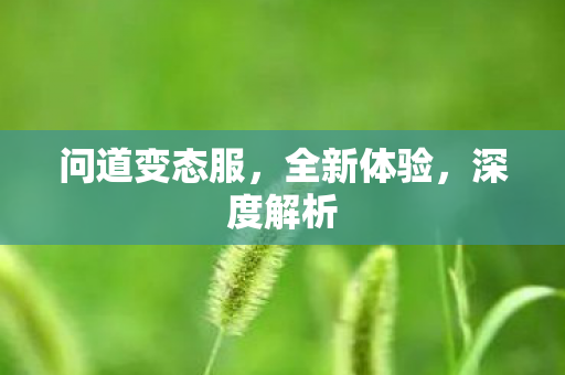 问道变态服，全新体验，深度解析