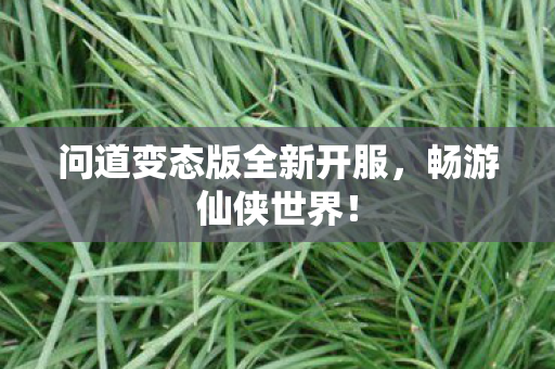 问道变态版全新开服，畅游仙侠世界！