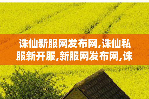 诛仙新服网发布网,诛仙私服新开服,新服网发布网,诛仙私服新开服