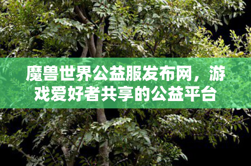 魔兽世界公益服发布网，游戏爱好者共享的公益平台