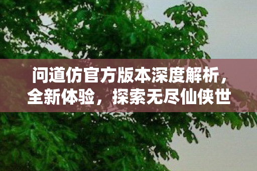 问道仿官方版本深度解析，全新体验，探索无尽仙侠世界