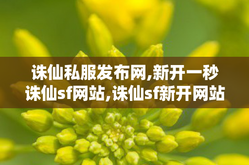 诛仙私服发布网,新开一秒诛仙sf网站,诛仙sf新开网站,新开一秒诛仙sf网站