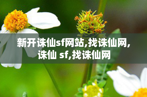 新开诛仙sf网站,找诛仙网,诛仙 sf,找诛仙网