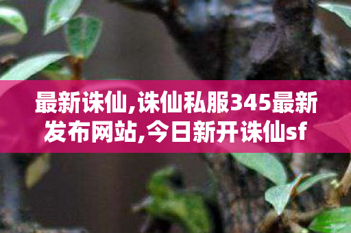 最新诛仙,诛仙私服345最新发布网站,今日新开诛仙sf,诛仙私服345最新发布网站