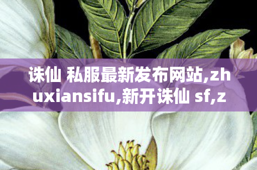 诛仙 私服最新发布网站,zhuxiansifu,新开诛仙 sf,zhuxiansifu