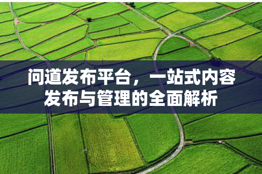 问道发布平台，一站式内容发布与管理的全面解析