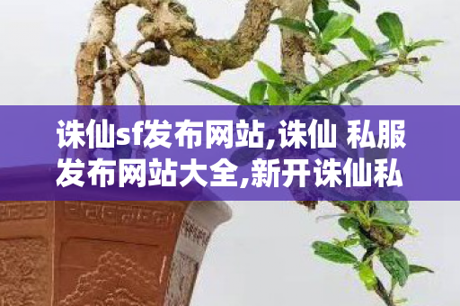 诛仙sf发布网站,诛仙 私服发布网站大全,新开诛仙私服发布,诛仙 私服发布网站大全