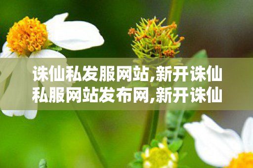 诛仙私发服网站,新开诛仙私服网站发布网,新开诛仙,新开诛仙私服网站发布网