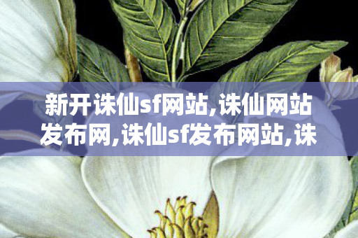 新开诛仙sf网站,诛仙网站发布网,诛仙sf发布网站,诛仙网站发布网
