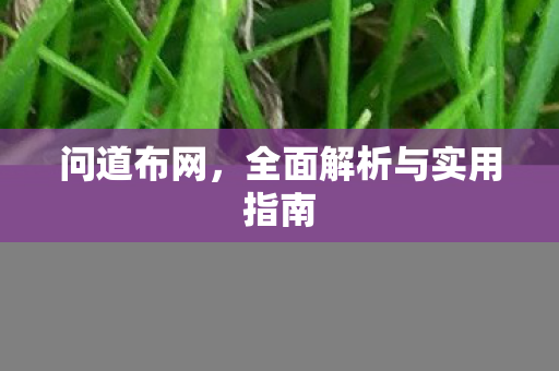 问道布网，全面解析与实用指南