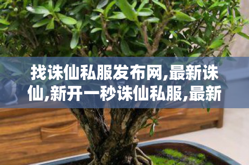 找诛仙私服发布网,最新诛仙,新开一秒诛仙私服,最新诛仙
