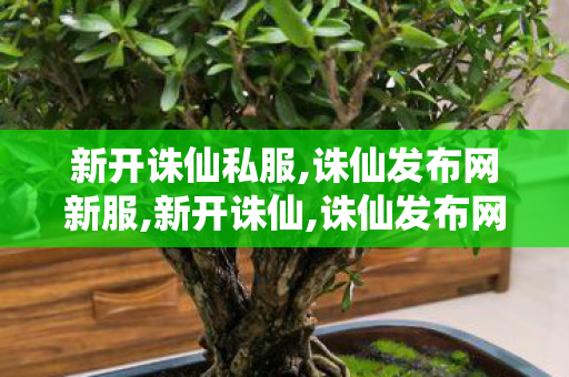 新开诛仙私服,诛仙发布网新服,新开诛仙,诛仙发布网新服