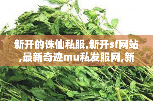 新开的诛仙私服,新开sf网站,最新奇迹mu私发服网,新开sf网站